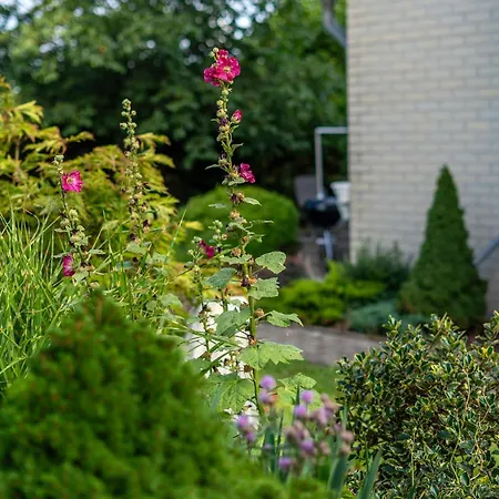 Familienurlaub Im Grünen * Wernigerode
