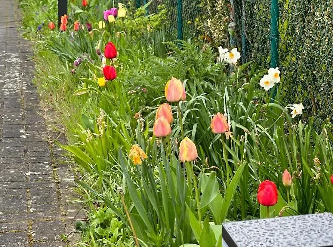 Apartment Familienurlaub Im Gruenen *