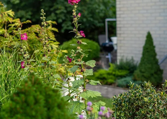 Familienurlaub Im Gruenen * Wernigerode
